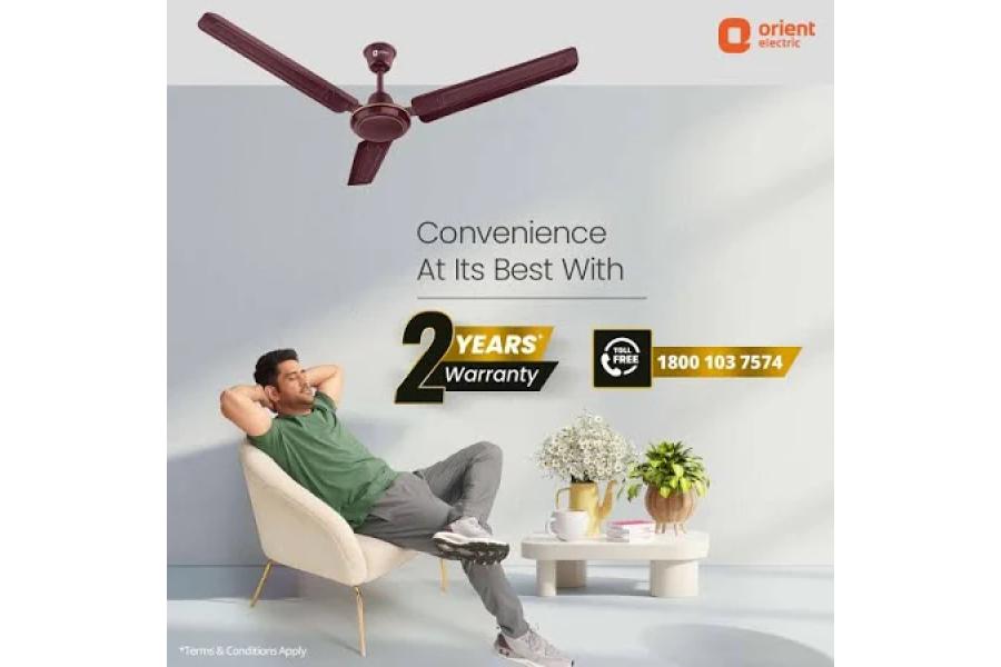 Bajaj 1200 (48 Inch) Ceiling Fan with 100% Copper Motor and Alluminium